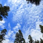 View of the sky from the shore of Granite Lake