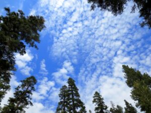 View of the sky from the shore of Granite Lake