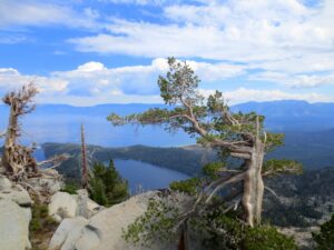 View from the top of Maggie's Peak