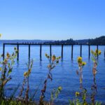 Fort Ward State Park